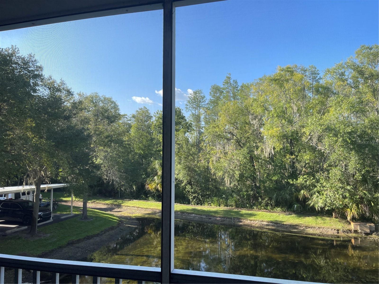 View of the pond from the screened balcony of studio lockout