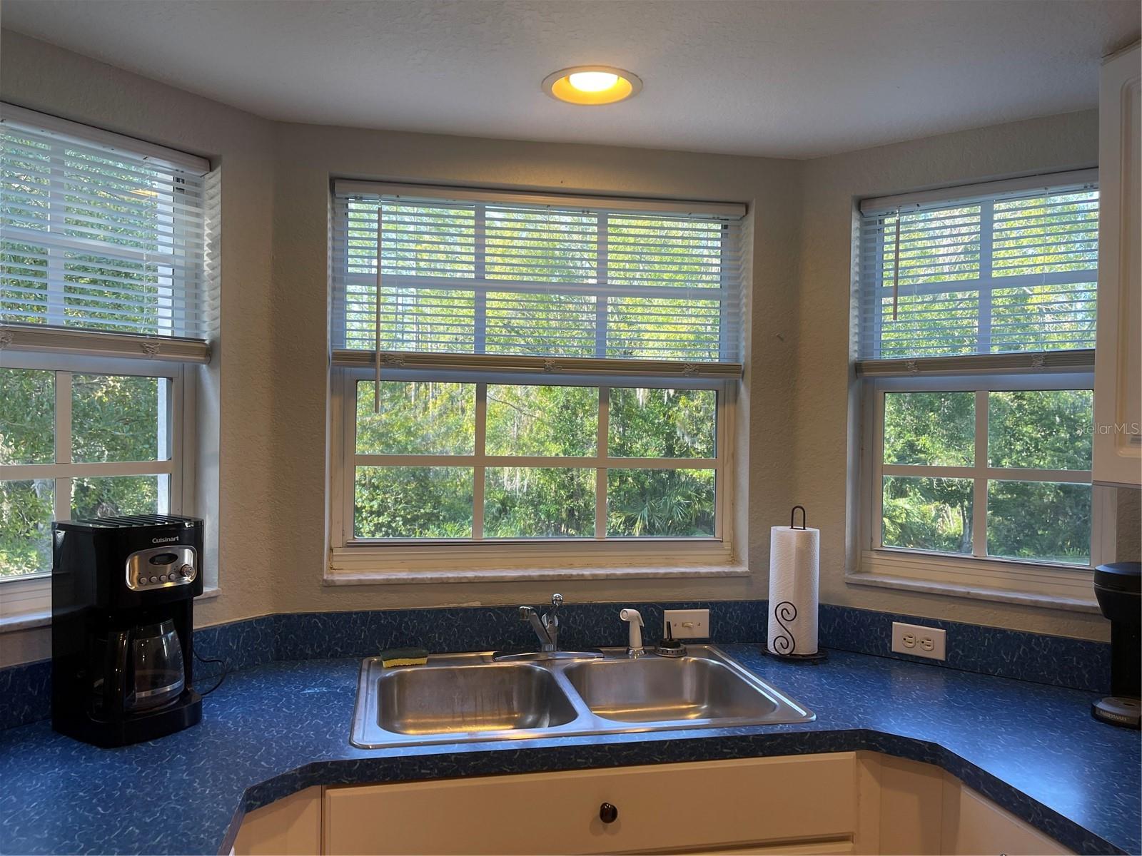 Four windows in kitchen overlook the pond