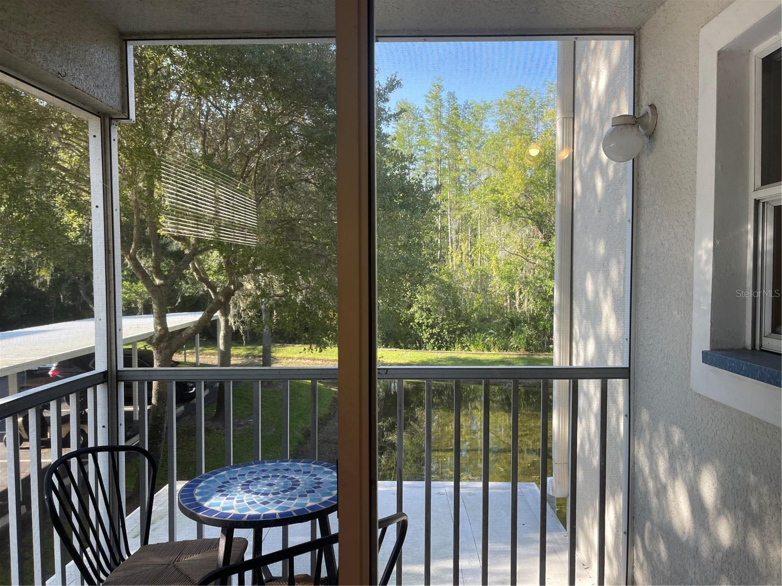 The screened patio overlooks the pond