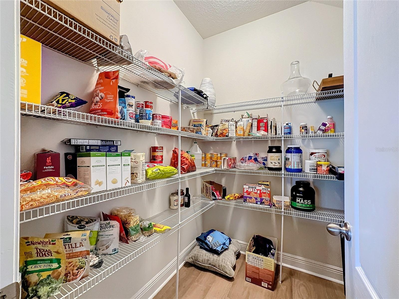 Huge Walk-In Pantry