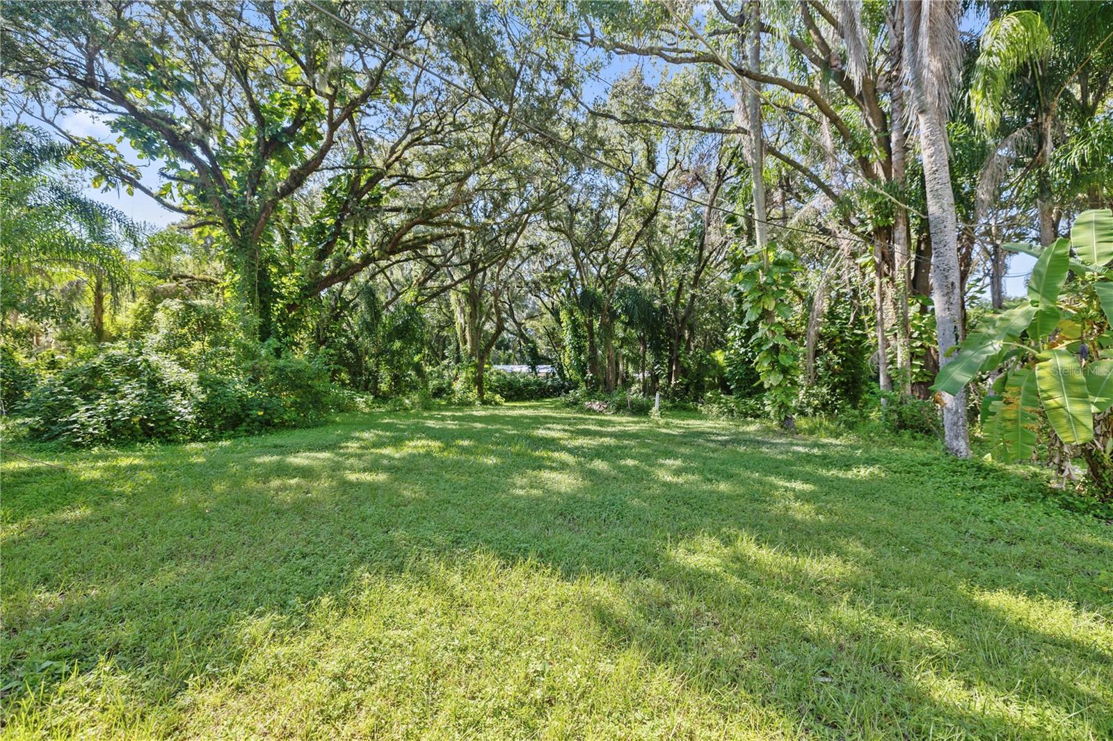 Large Backyard with Mature Landscaping