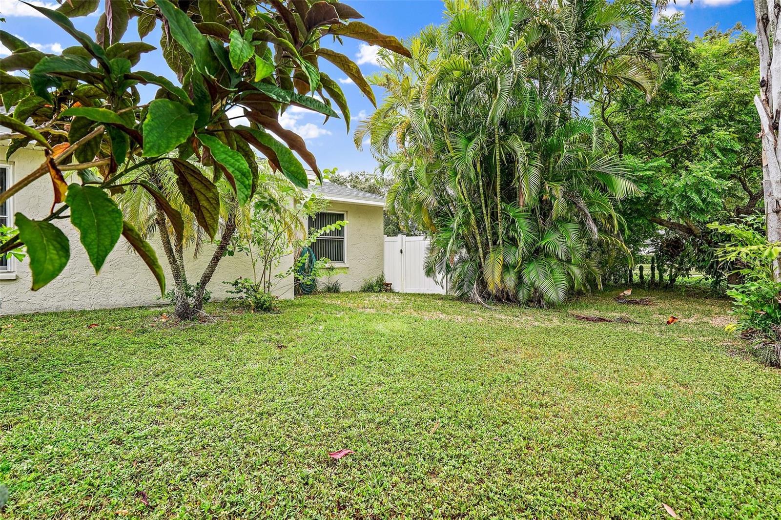 Side Yard