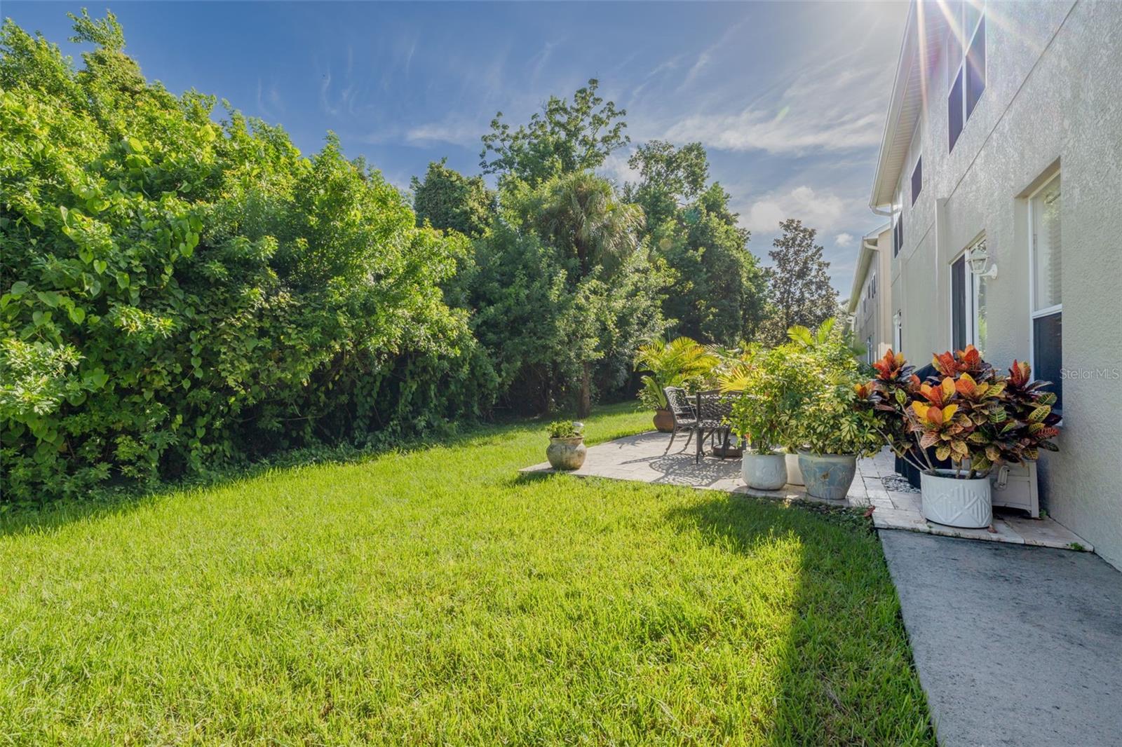 Rear Patio