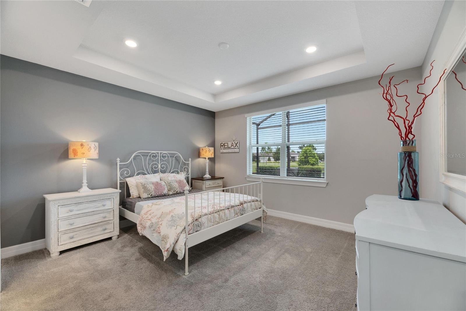 primary bedroom with decorative tray ceilings