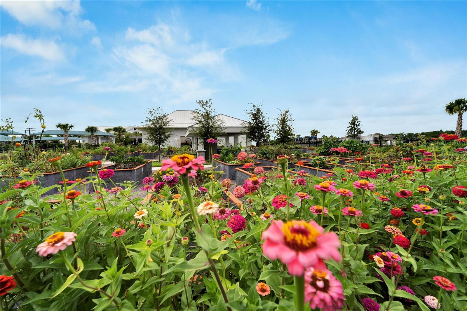 community garden