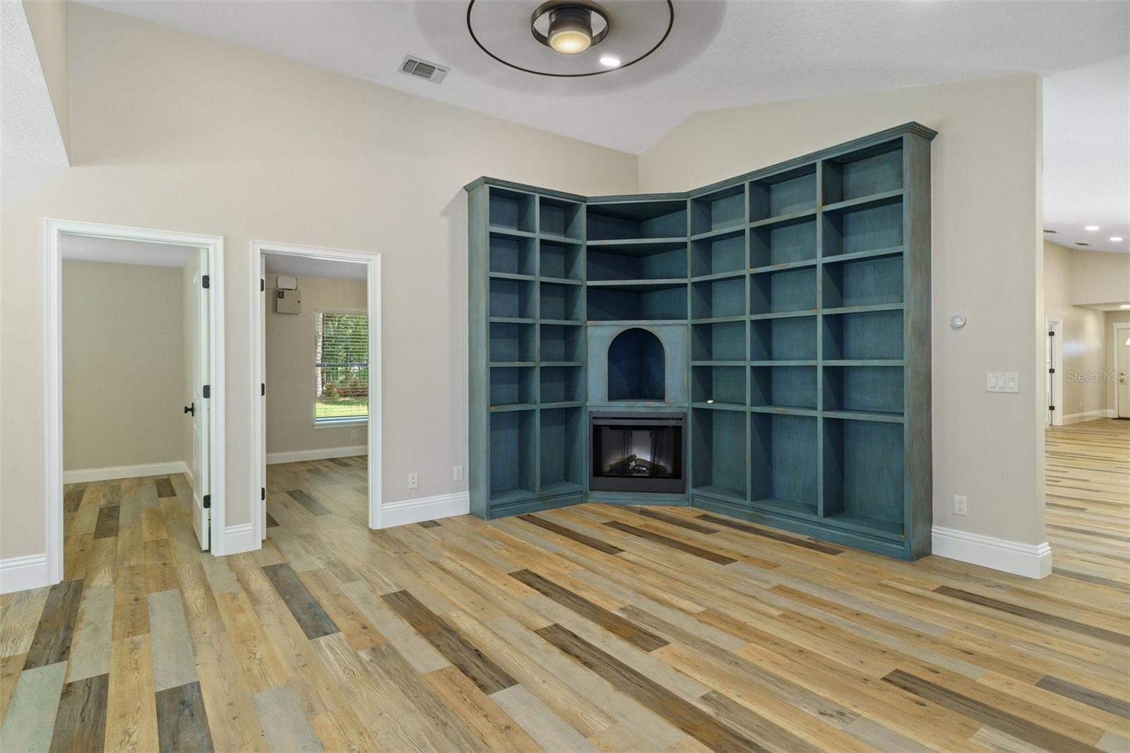 Decorative shelving and electric fireplace.