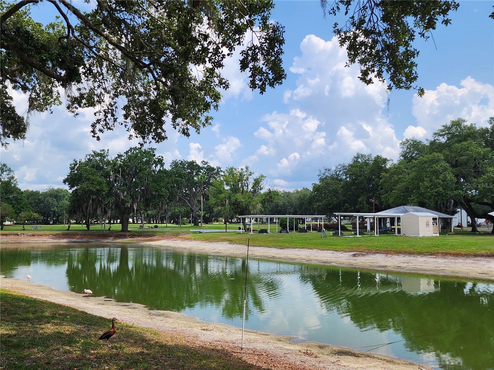 Pond & horseshoes.