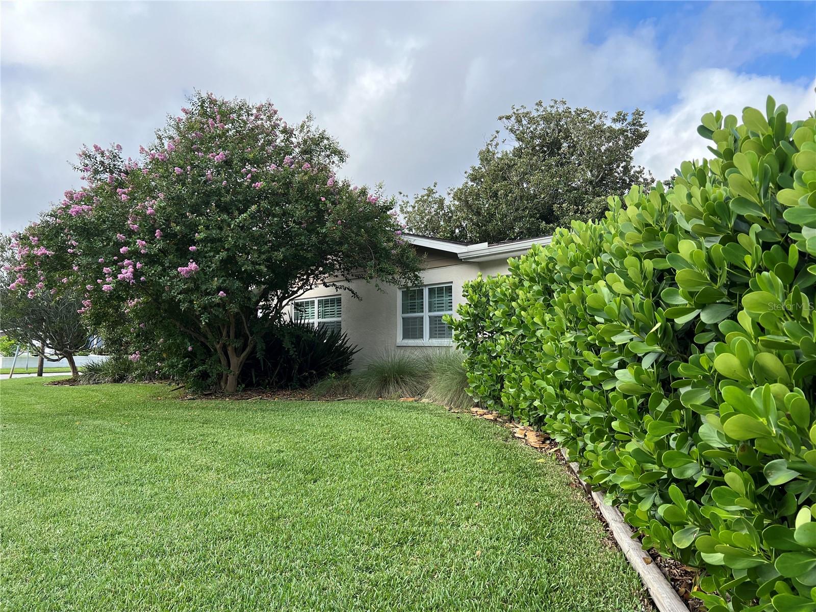 exterior side yard view