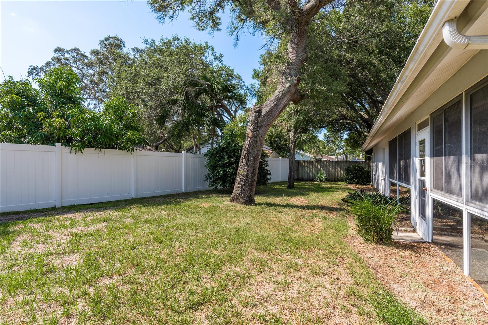 Backyard view from the left side of the house