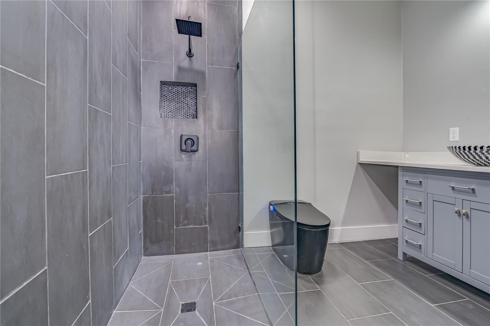 Wheelchair Accessible Bathroom and Shower