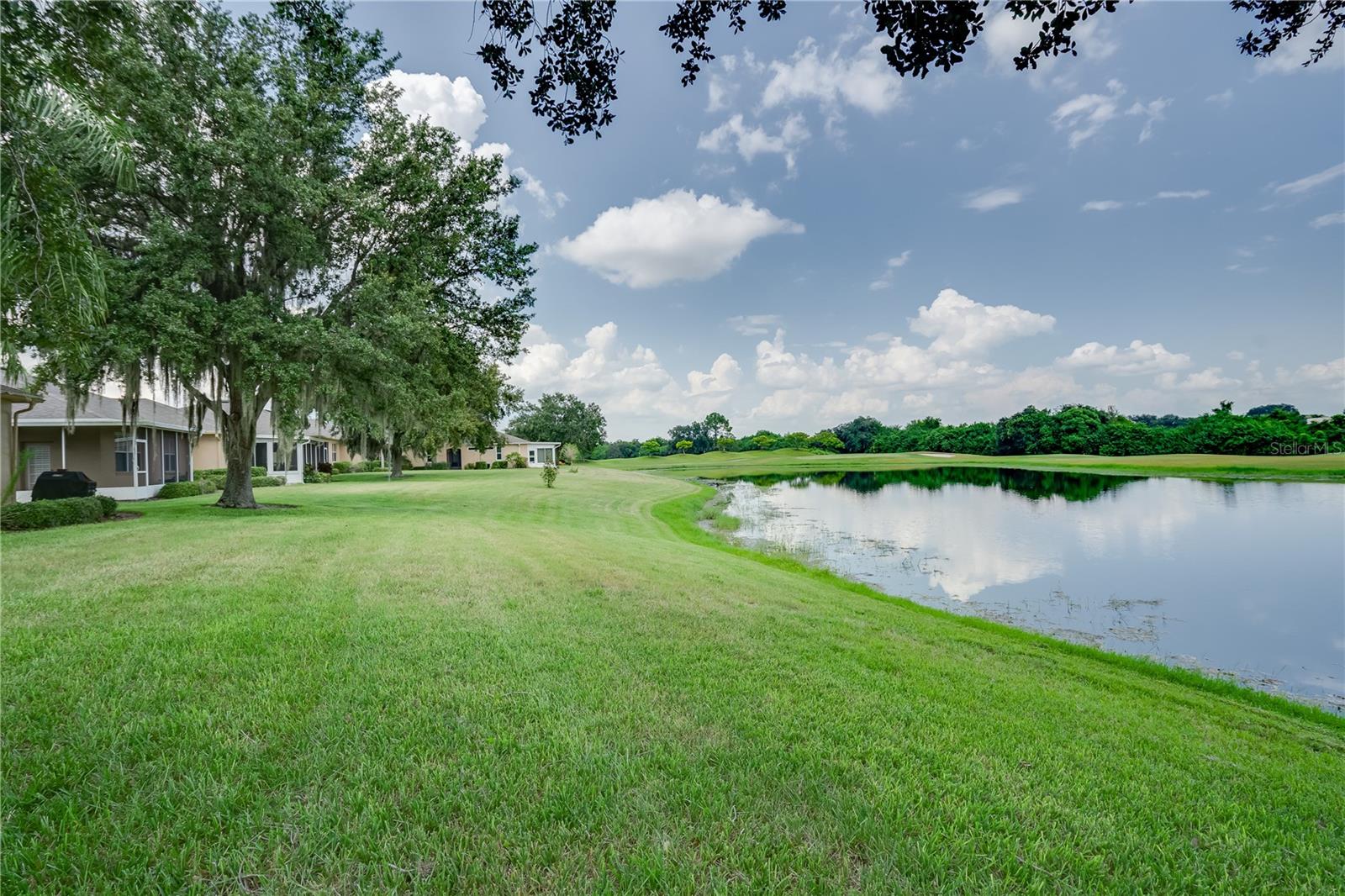 Backyard Pond