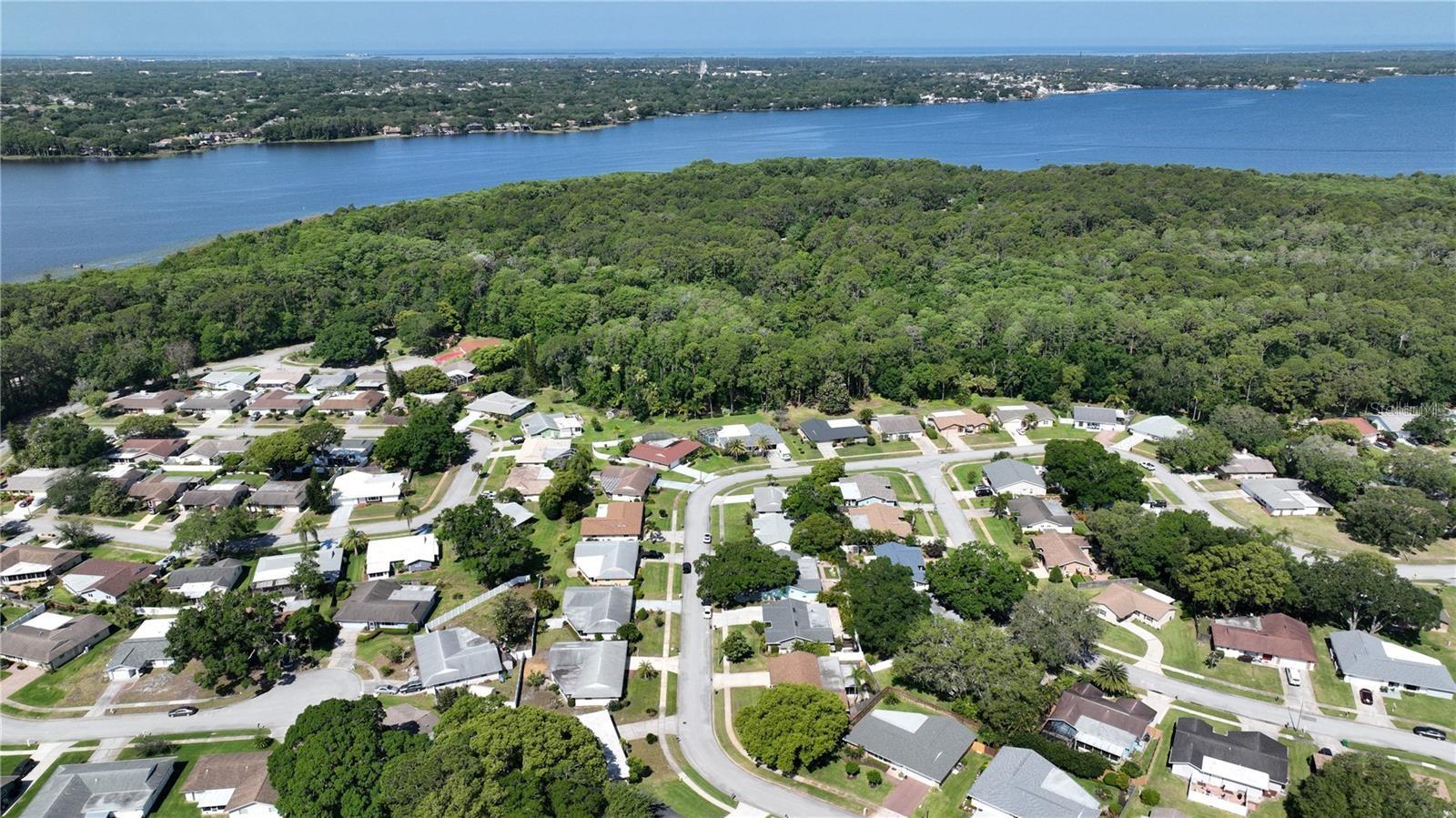 Anchorage is Adjacent to Lake Tarpon