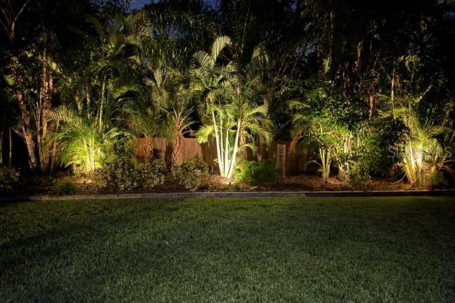 Landscape lighting backyard oasis