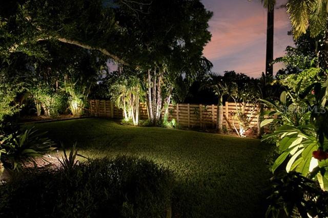 Landscape lighting backyard oasis