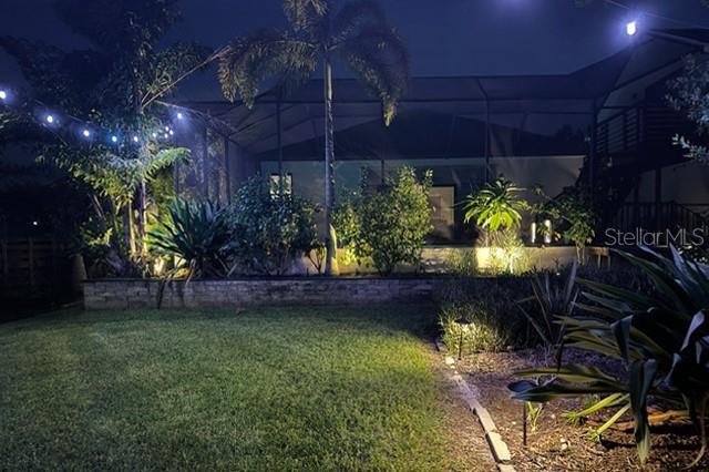 Landscape lighting backyard oasis