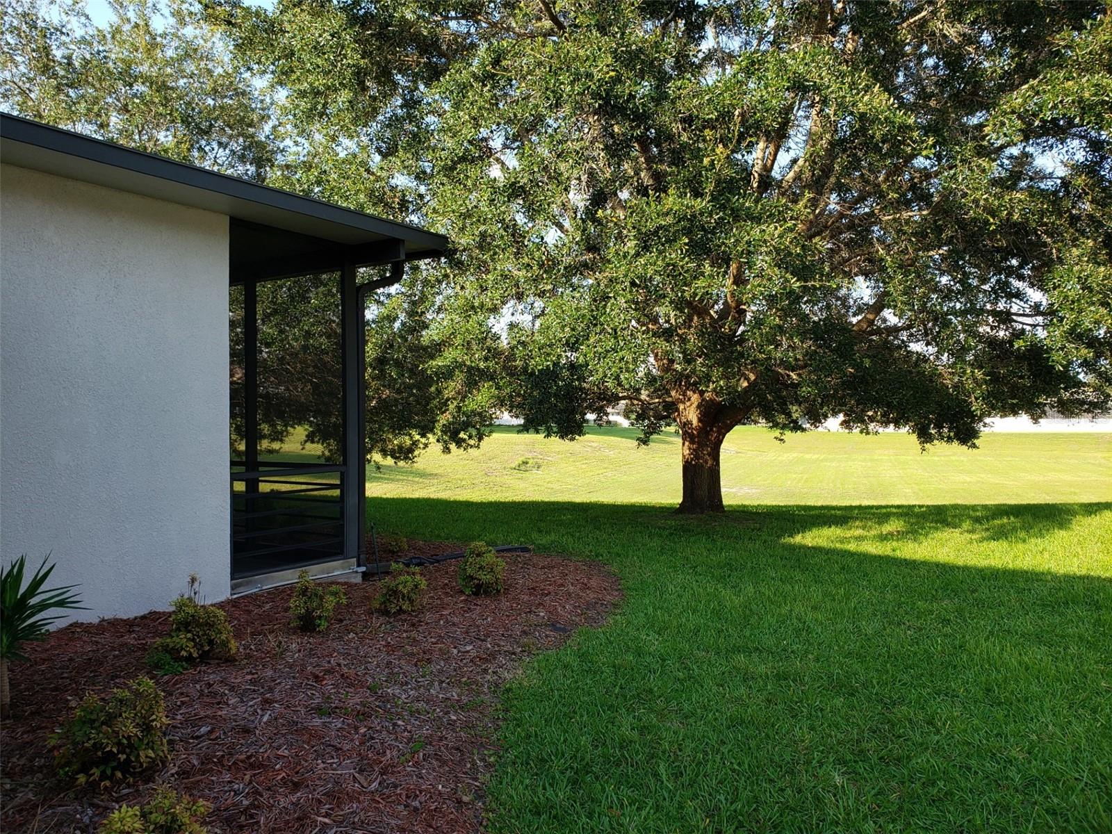 Looking back toward Conservation / No-Build Area from Right Side of House