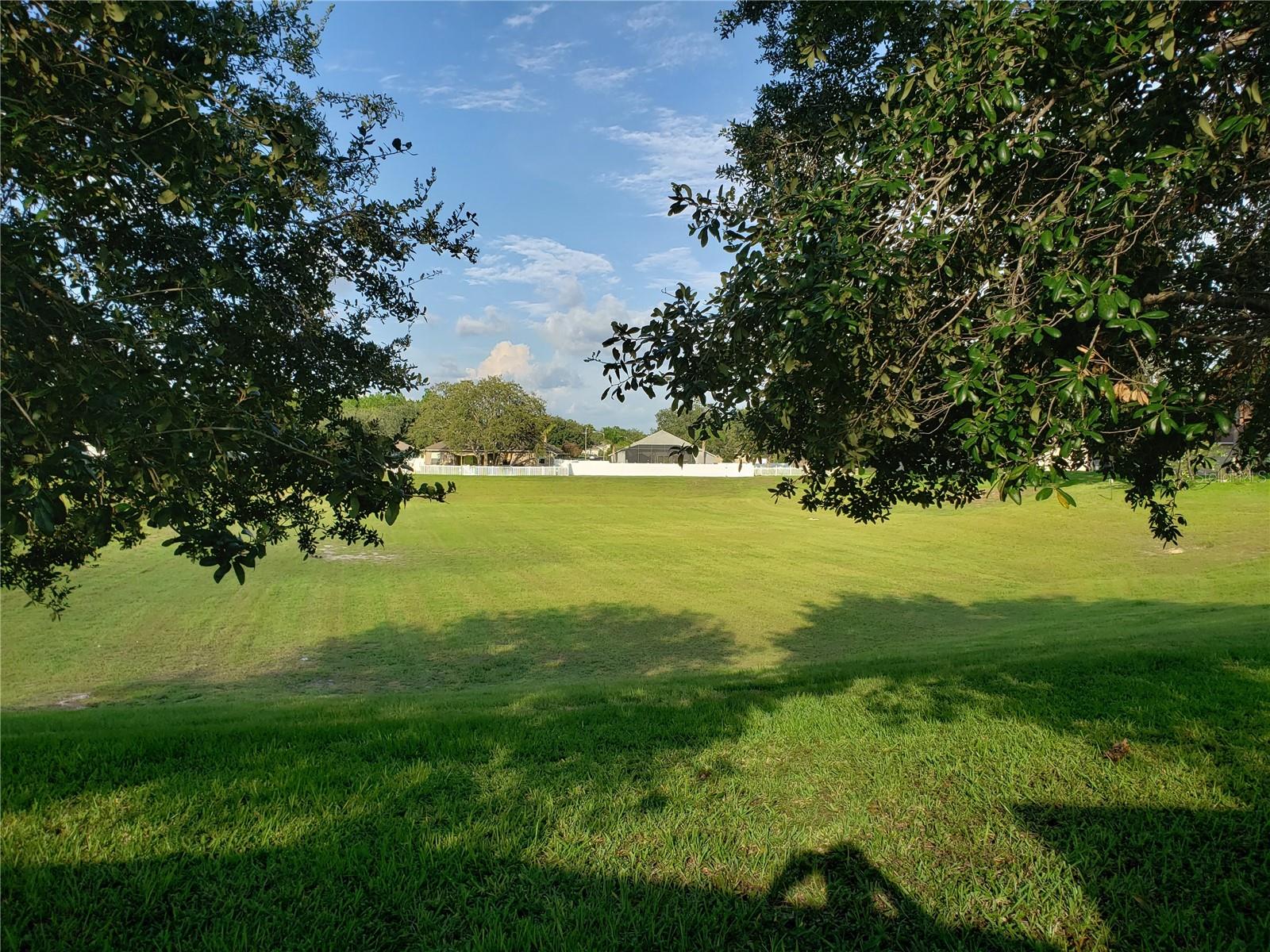 View of Conservation / No-Build Area behind the house (from just outside the Screen Room)