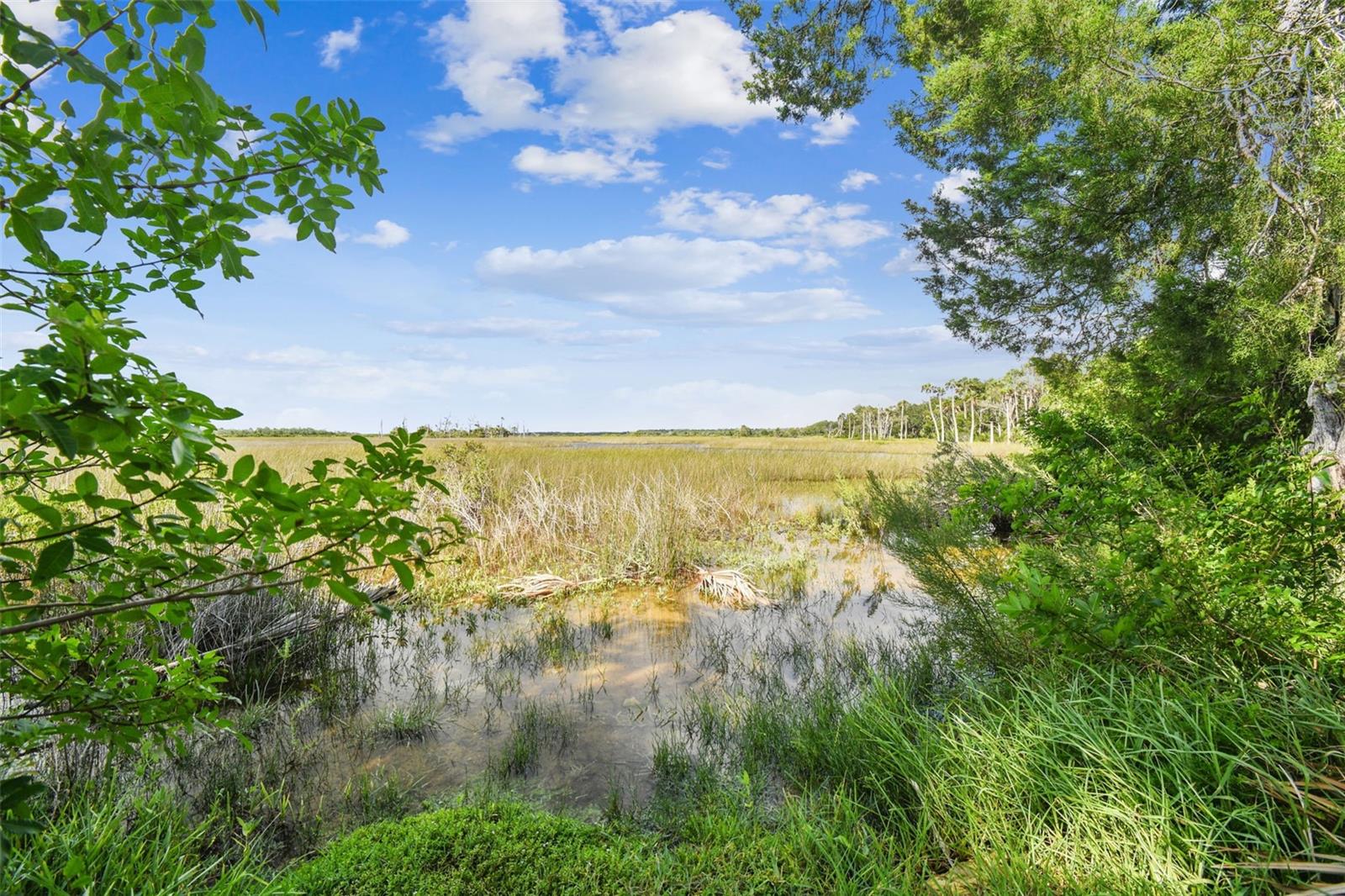 this is YOUR backyard view for as far as you can see - put your kayak right in