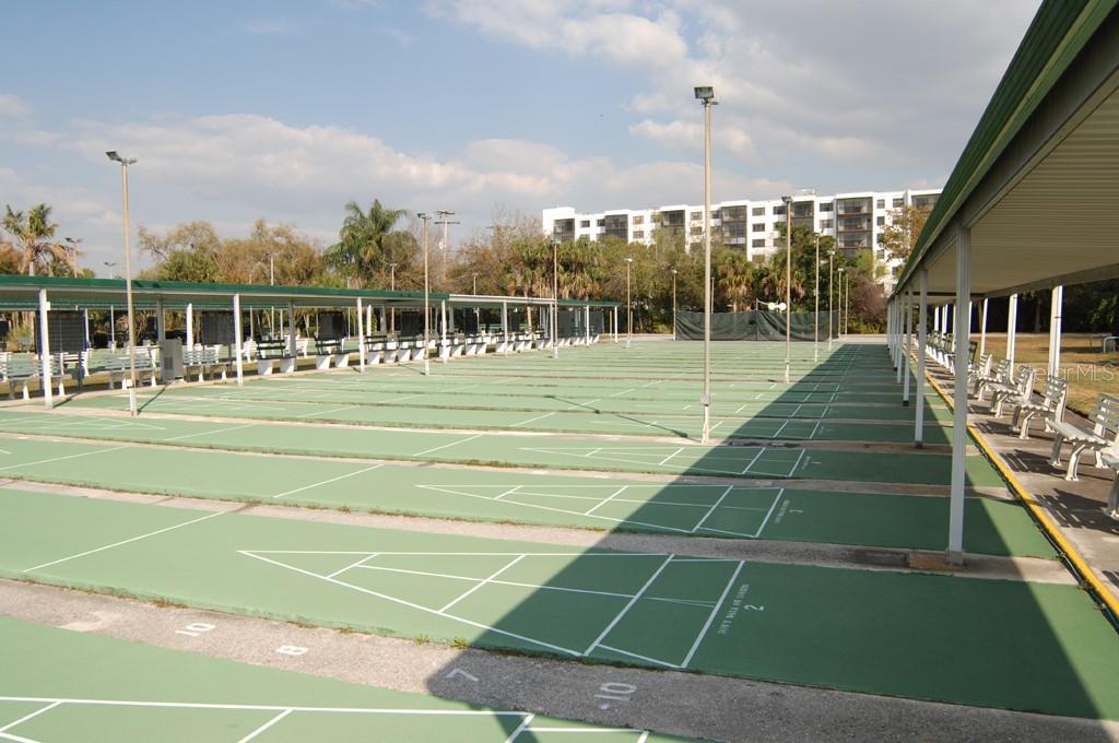 Shuffleboard Courts