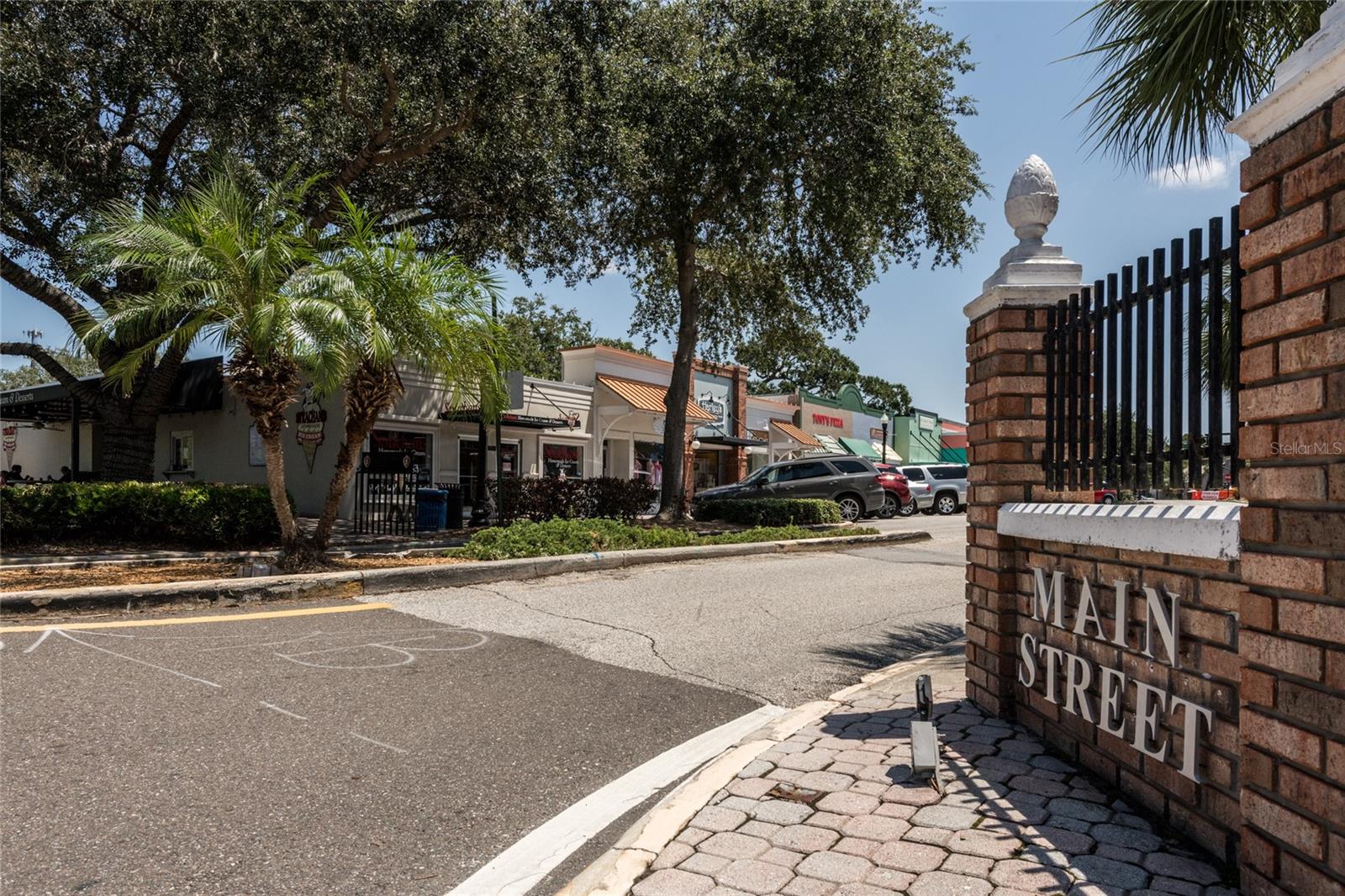 Main Street Downtown Dunedin