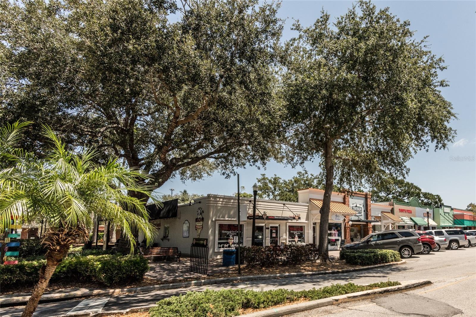 Main Street Downtown Dunedin