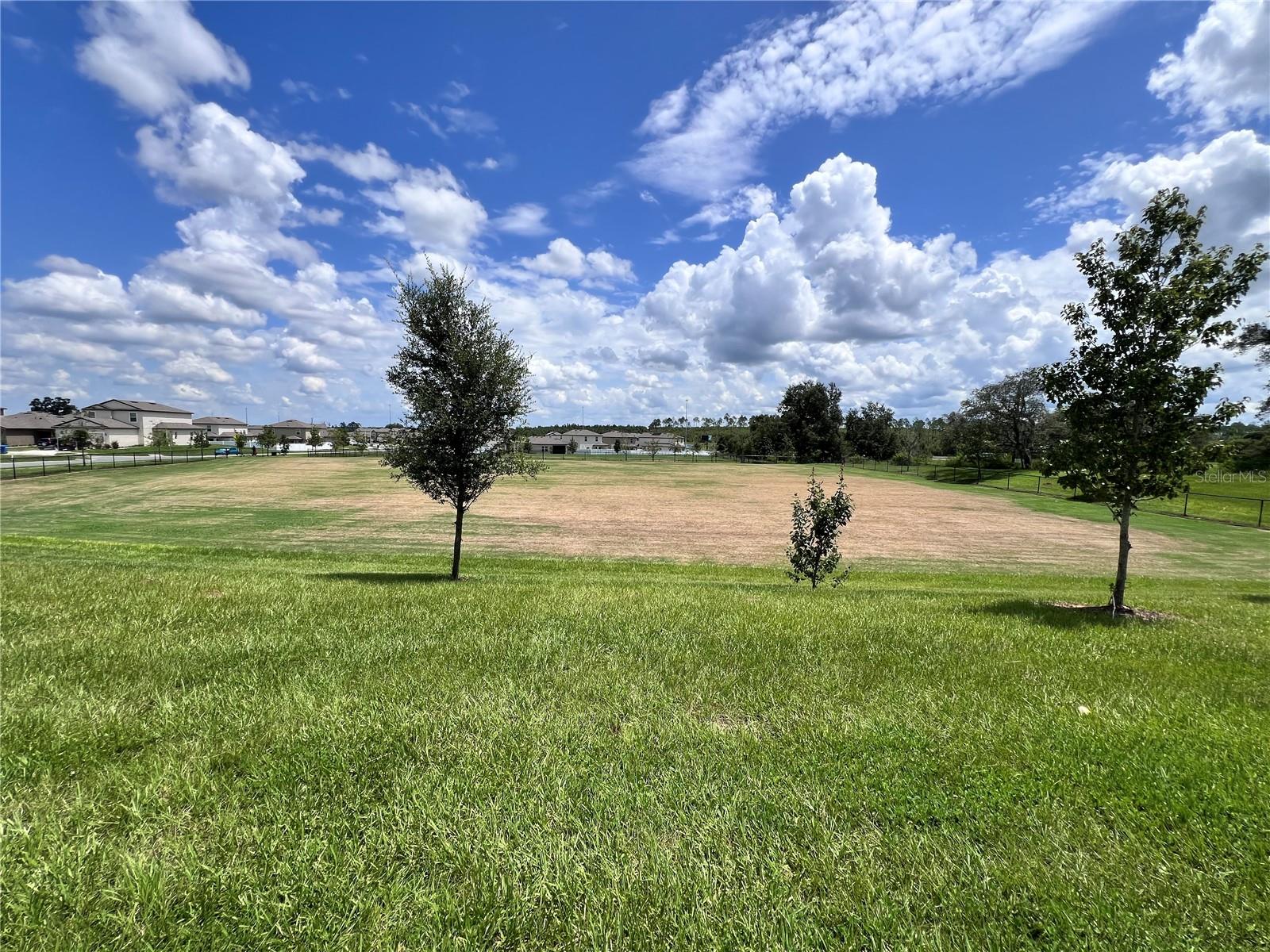 Soccer Field/Play Field