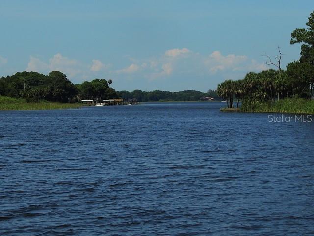 Lake Tarpon