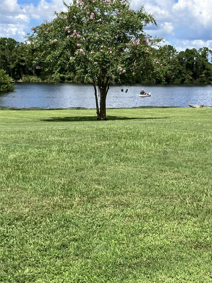 pond view to the right of the home