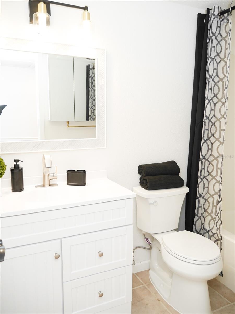 Updated hall bath with skylight