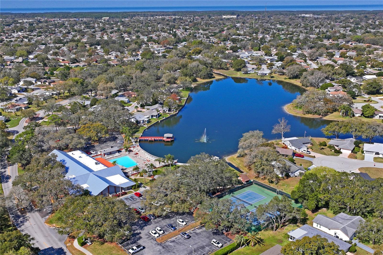 Community Aerial View