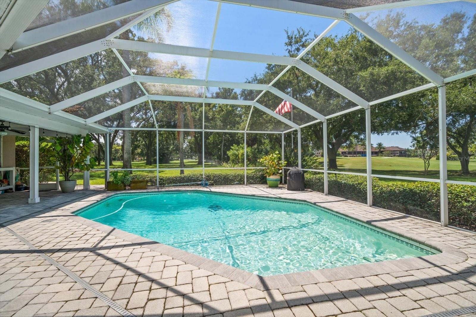 Screen enclosure over the salt water pool