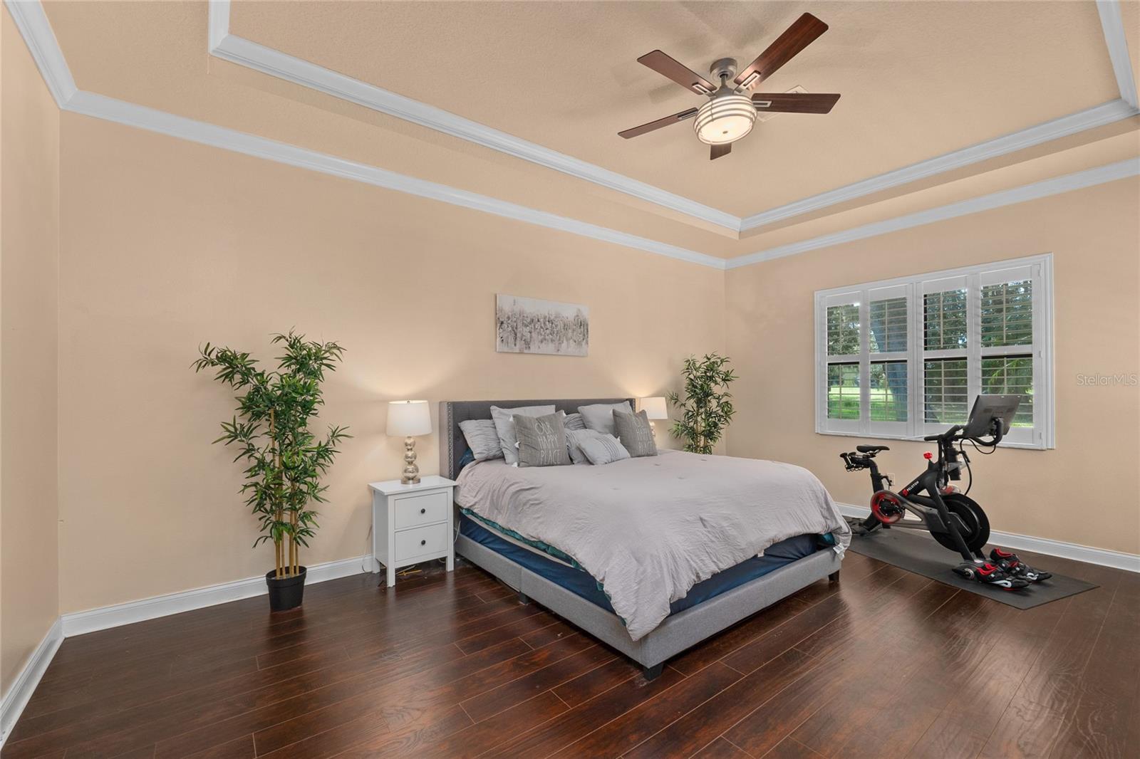 Gorgeous Tray ceiling in Primary Owner's suite