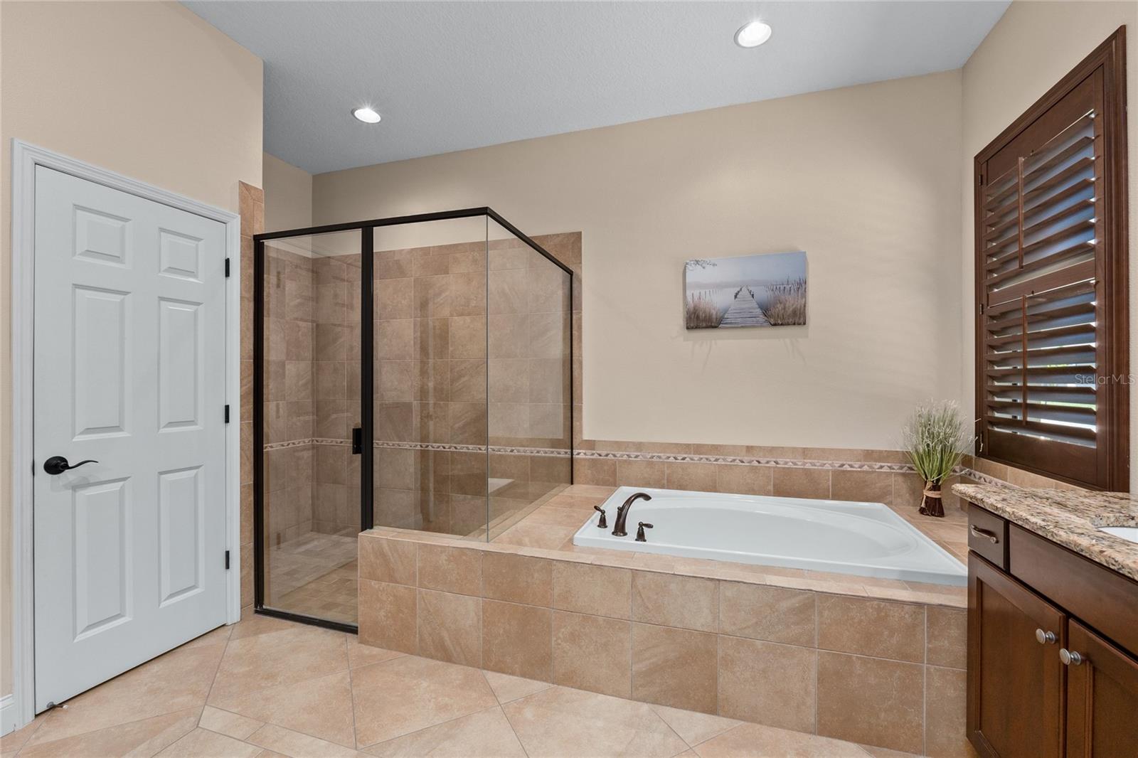 Large Shower and a luxurious tub