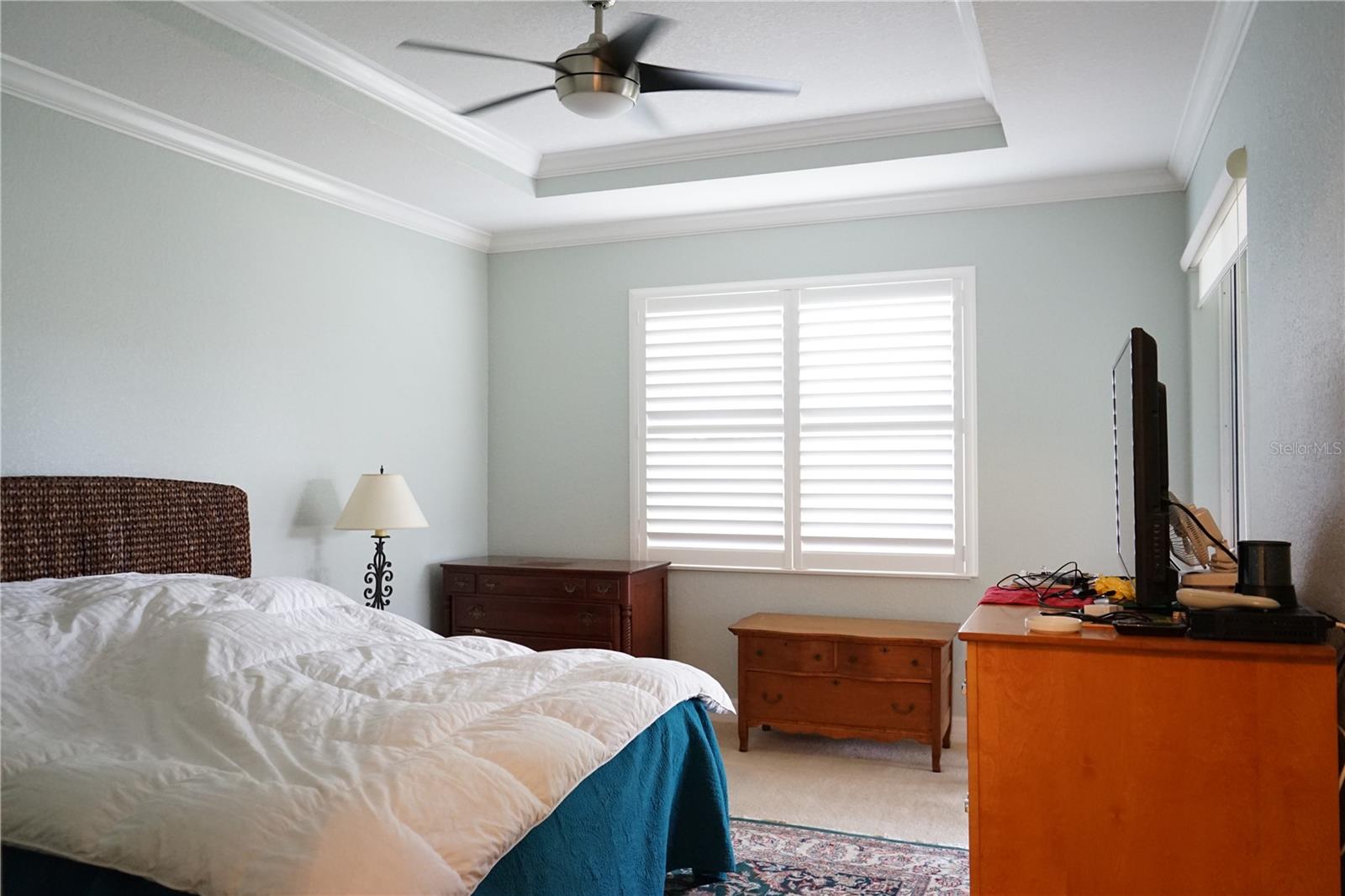 owners bedroom with tray ceiling and plantation shutters