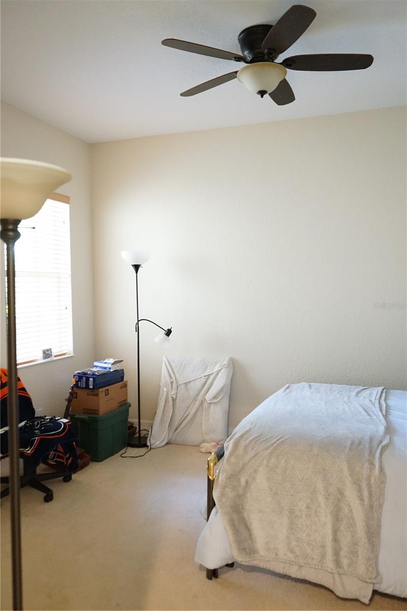 bedroom 3 with carpet and window to courtyard