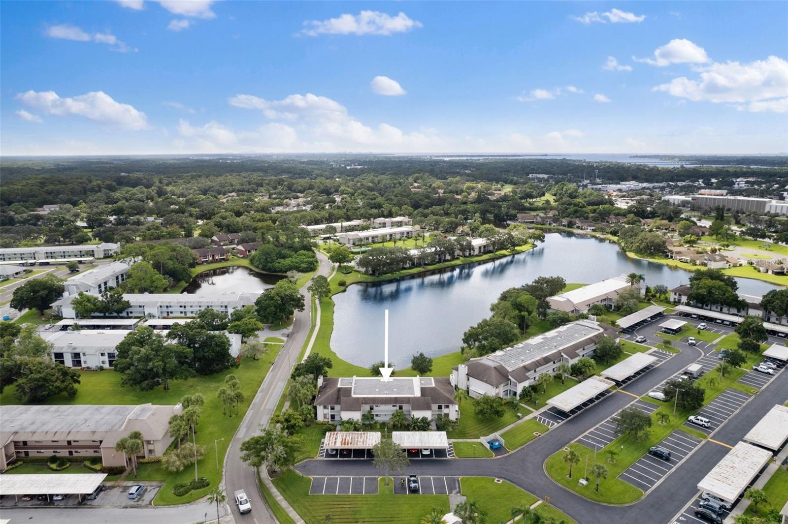 View of the pond from the back side of the unit