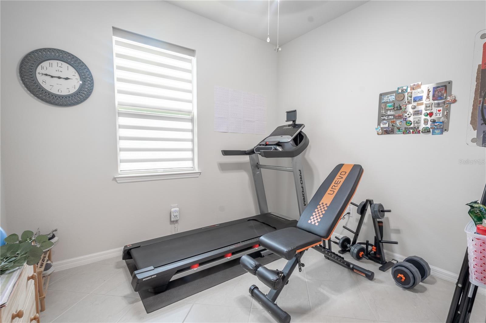 The Flex Room is currently used as a home gym.