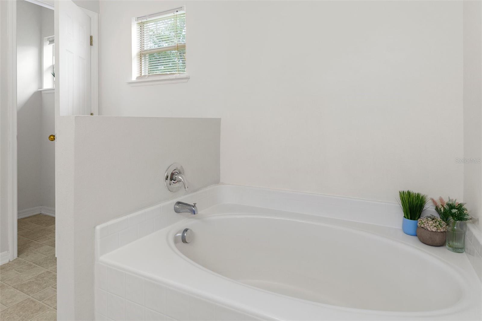 Relaxing Garden Tub in the Master Bedroom