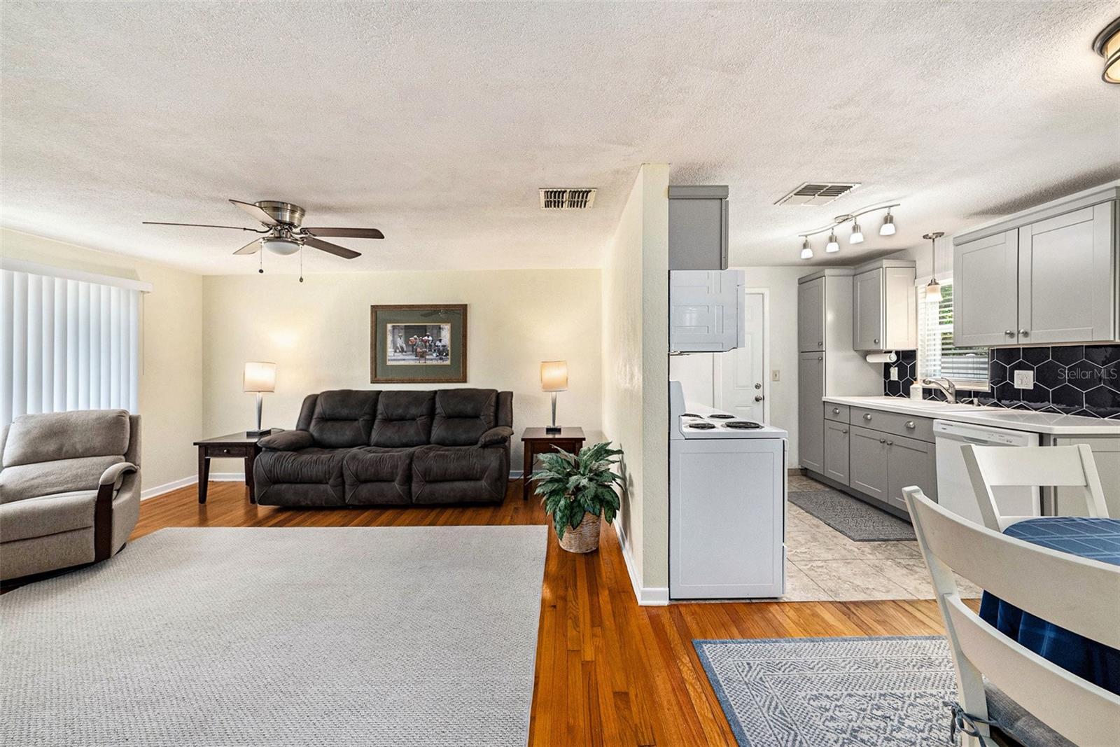 View of the Living Room and Kitchen