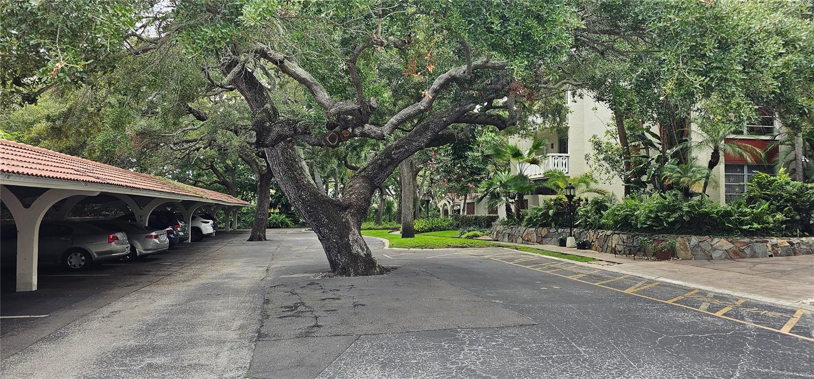 Carport Parking