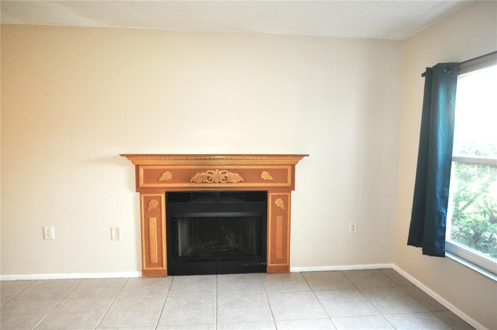 Wood burning fireplace in living room