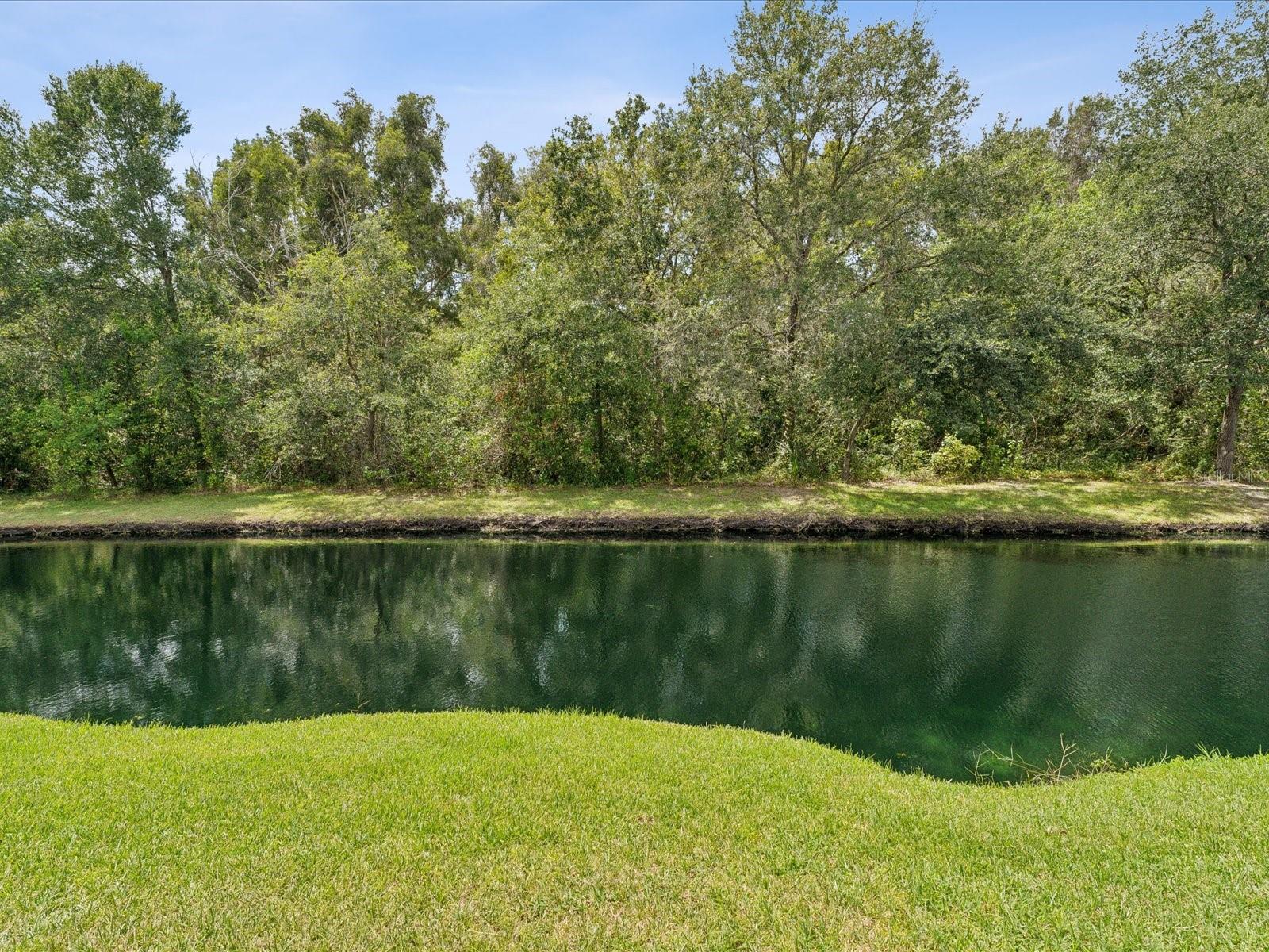 Exterior Pond View