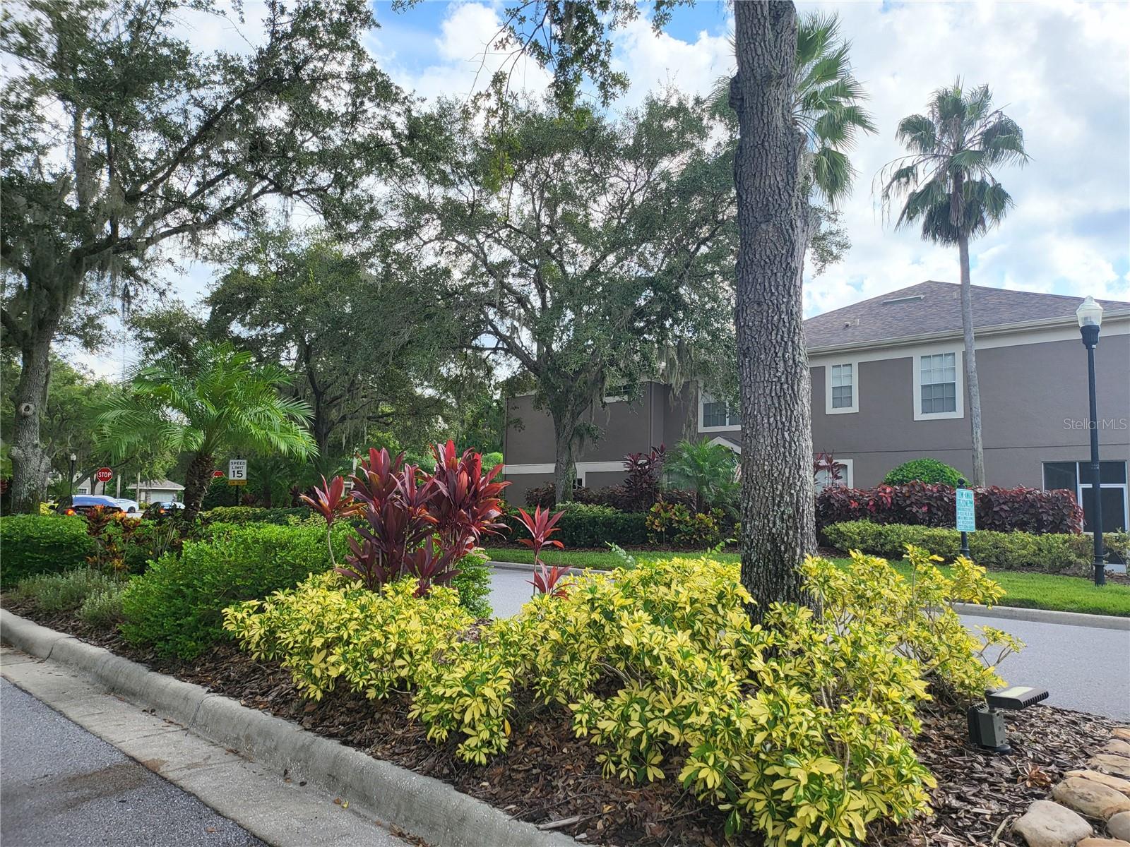 Beautiful entrance featuring lush landscaping