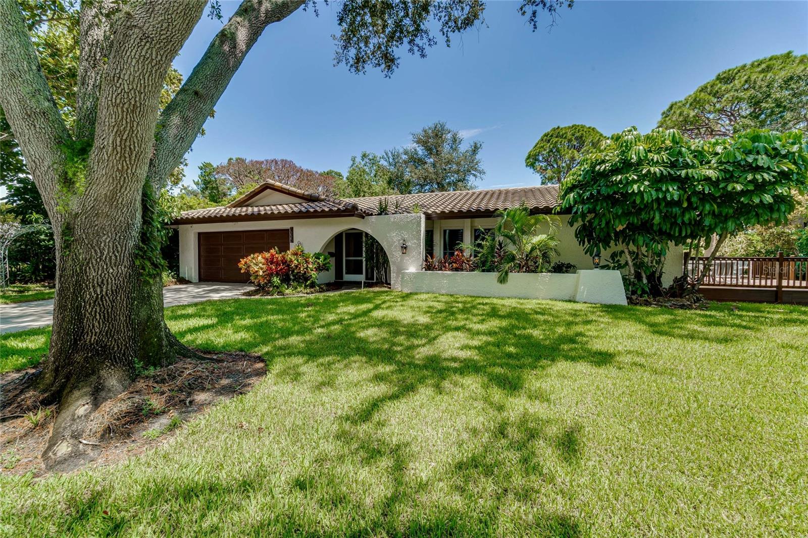 A gorgeous live oak gives shade to the enormous front yard.