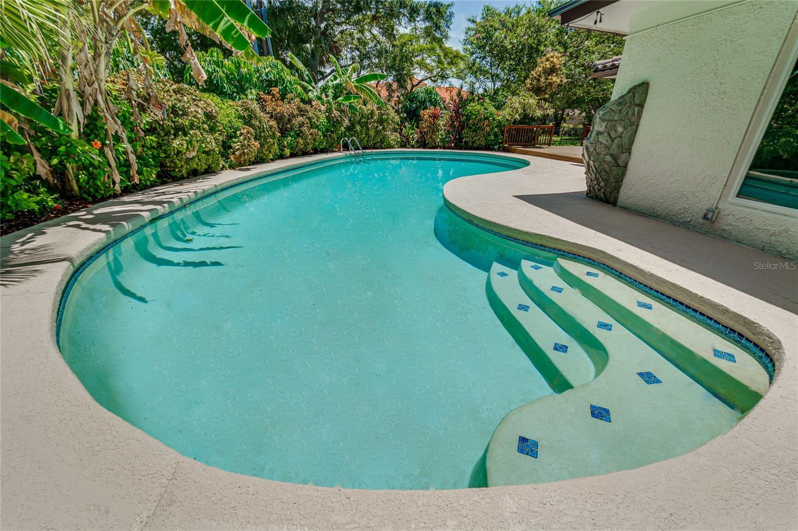 Tropical oversized pool.