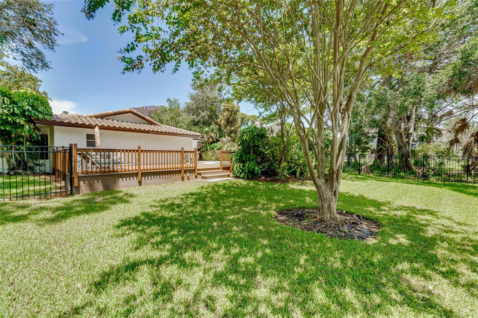 Oversized fenced side yard with mature crepe myrtle.