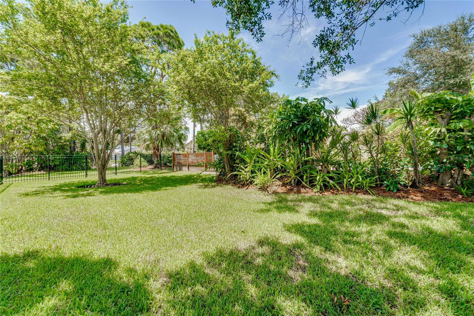 Side yard looking west.