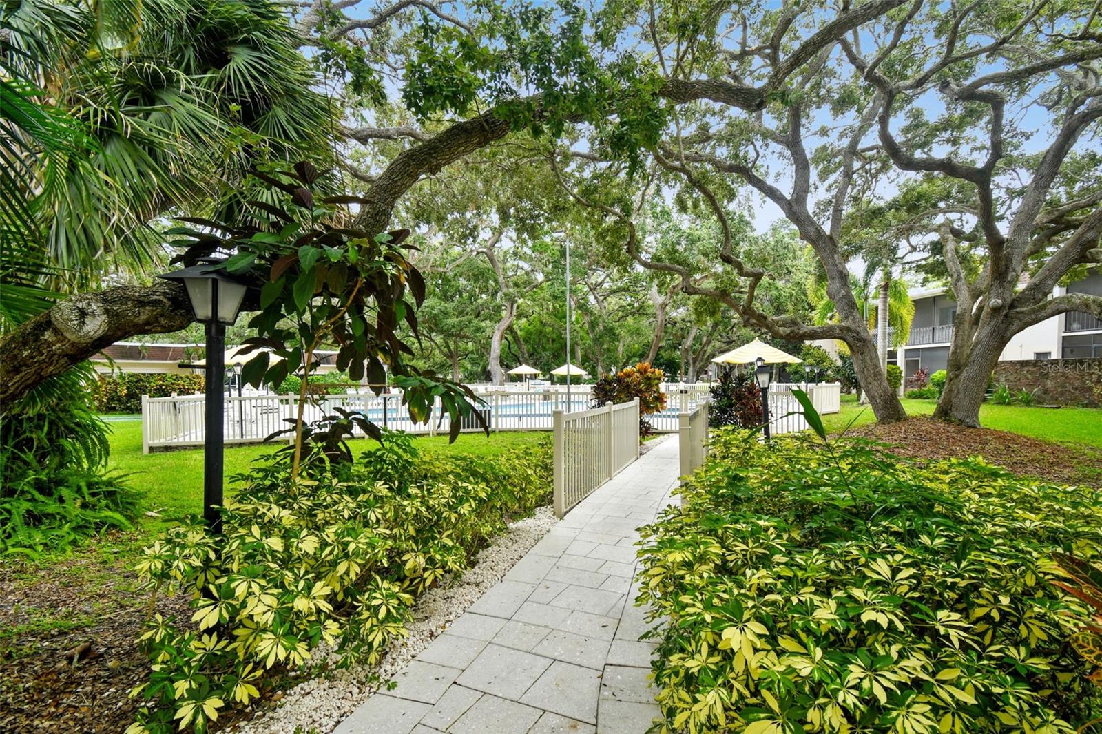 Direct walk path from the unit to the pool.