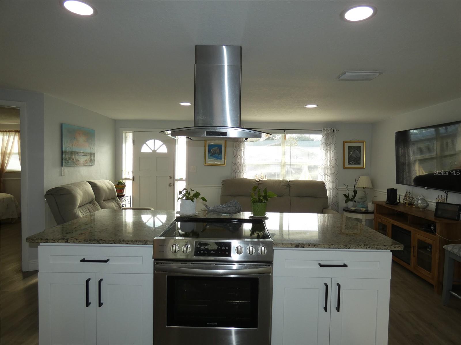 Granite counter top island with range/exhaust with deep cabinets.