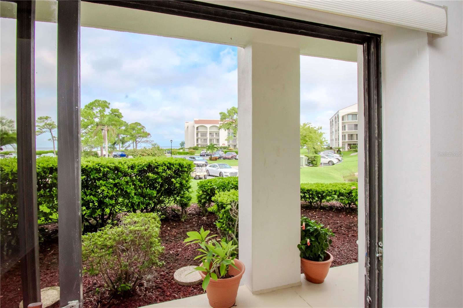 Patio from dining room